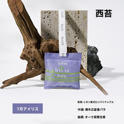 CITTA ふたつの香りセット｜気分で選べるデュオアロマ